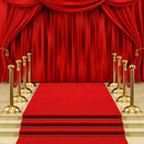 red carpet photo booth props 10ft Hollywood star backdrop for picture 8ft wedding theme photography backdrops superstar 30th wedding anniversary photo backdrops stage lighting personalized background for photographer