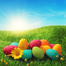 christian easter backdrops for photography vinyl background easter island photo backdrops happy easter eggs backgrounds religious photography backdrops easter theme party photo props for kids photo backgrounds spring 8x8
