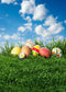 christian easter backdrops for photography vinyl background easter island photo backdrops 8x10 happy easter eggs backgrounds religious photography backdrops easter theme party photo props for kids photo backgrounds spring basket