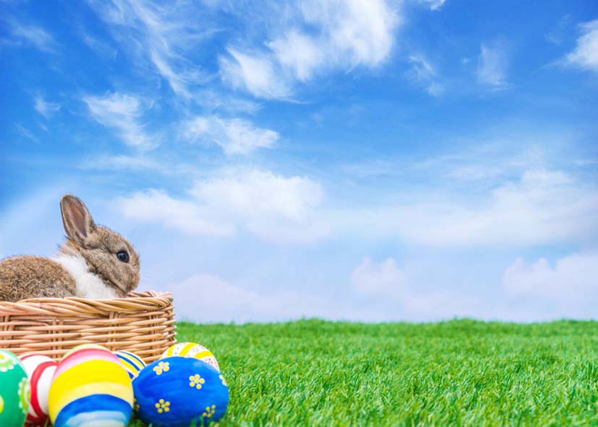 happy easter photo backdrops spring photography vinyl backdrops easter eggs for girls colorful eggs backdrops rabbit sky easter themed photo background easter religious photo booth backdrop easter church photo booth props
