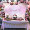 Girl's Sweet 16 Birthday Party Backdrop Decoration Gliiter Rose Gold Baby Pink Dreamy Birthday Photo Background Photography