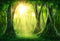 Green Fantasy Forest Background Newborn Baby Shower Portrait Backdrop Birthday Party Photography Background Photo Background