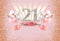 Fond de photographie paillettes diamants rose joyeux doux 21e anniversaire filles fête d'anniversaire toile de fond Photo Studio accessoire 