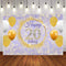 20th Birthday Party Photography Background Princess