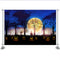 Arrière-plan de photographie de citrouilles légères, thème d'halloween, arrière-plan de photographie de fantôme d'horreur, de lune jaune, de vieux arbres, de cimetière pour enfants