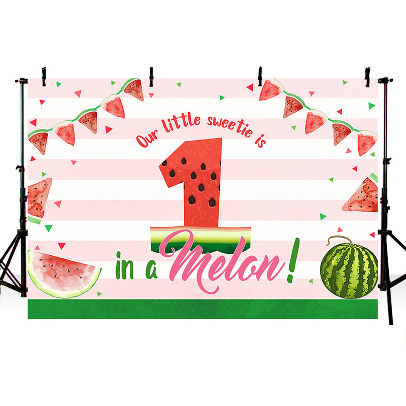 Notre petit chéri est un Melon fête d'anniversaire arrière-plans de photographie pastèque bébé douche toile de fond Studios Photo 