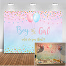 Gender Boy or Girl Party Decoration Banner Photo Background Glitter Design Photography Backdrop Balloon backdrop