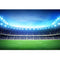 Stadium Background for Photography Soccer Field Photo Backdrop Booth Studio World Football Match MW-122