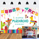 Mexican Baby Shower Backdrop Taco Bout Little Newborn Muchacho Boy Photo Background Fiesta Party Banner Supplies Photography