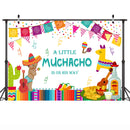 Mexican Baby Shower Backdrop Taco Bout Little Newborn Muchacho Boy Photo Background Fiesta Party Banner Supplies Photography