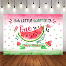 Watermelon Themed Girl First Birthday Photo Studio Background Pink Princess 1st One in a Melon Birthday Summer Fruit Party Decorations Banner Photography Backdrops for Dessert Table