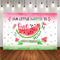 Watermelon Themed Girl First Birthday Photo Studio Background Pink Princess 1st One in a Melon Birthday Summer Fruit Party Decorations Banner Photography Backdrops for Dessert Table