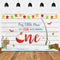 Our Little Man is O-fish-ally Turning One Backdrop 1st Birthday Party Photo Background for Children Gone Fishing Theme Backdrops