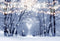 2020 Winter Snow Photography Backdrops Christmas Background Backdrops Forest Trees Snowflake Props Lighting Vinyl photo Backdrop