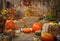 Fall Thanksgiving Photography Backdrop Halloween Rustic Wooden Floor Barn Harvest Background Autumn Pumpkins Maple Leaves Baby Shower Party Decoration Photo Studio