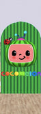 Cocomelon Photo Background Coco Melon Cover Theme Arch Background Double Side Elastic Covers