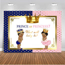 Royal Twins Party Backdrop for Picture Newborn Pink or Blue Crown Backdrops for Baby Shower Boy or Girl Photo Background
