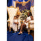 Toile de fond bleu Royal pour fête prénatale, arrière-plan pour Photo de bienvenue du petit Prince, cadeaux et couronne dorée pour baptême, 7x5 pieds