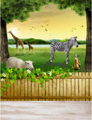 animals zoo photo booth props giraffe photography backdrops zebra background for photographer animals photo backdrops