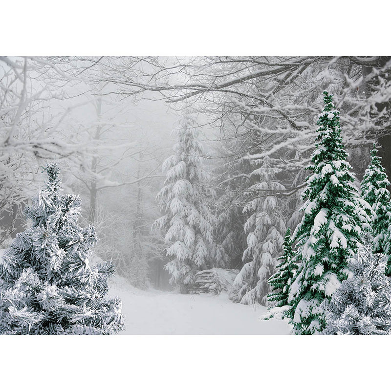 Toile de fond de scène de forêt de neige pour la photographie, arrière-plan de forêt de pins pour Studio Photo de nouveau-né