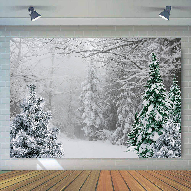 Snow Forest Scene Backdrop for Photography Pine Tree Forest Background for Photo Studio Newborn