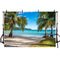 Toile de fond d'anniversaire de plage d'été pour accessoires de photographie ciel bleu et mer accessoires de fond de Photo accessoires de décorations de vacances de palmier