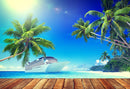 Summer Beach Wood Photography Background Cruise Ship Sea Backdrops Cloud Blue Sky Coconut tree Backgrounds For Photo Studio