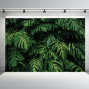 Forêt tropicale plantes vertes feuilles feuillage photographie arrière-plans arrière-plans photographiques anniversaire Photocall accessoires Photo
