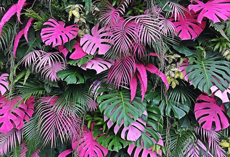 Tropical Forest Red Green Plants Leaves Foliage Photography Backdrops Photographic Backgrounds Birthday Photo Props