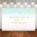 Customize Twinkle Twinkle Little Star Background for Picture Baby Shower Photo Backdrop Kids Party Banner Background Decor