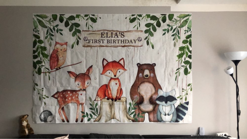 Wild One Background for Photo Studio Newborn Baby Shower Woodland Birthday Party Backdrop Decoration Banner Table Background