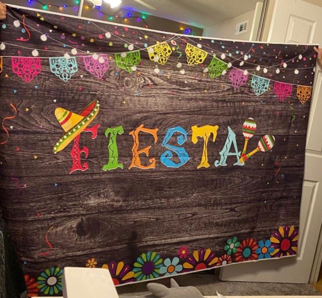 Fiesta Birthday Party Backdrop Mexican Fiesta Themed Birthday Photo Booth Background Summer Luau Pool Backdrops Decor