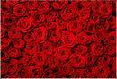 Valentine's Day Rose Wall Photo Shoot Background Red Rose Wedding Photography Backdrop Birthday Decoration Party 275