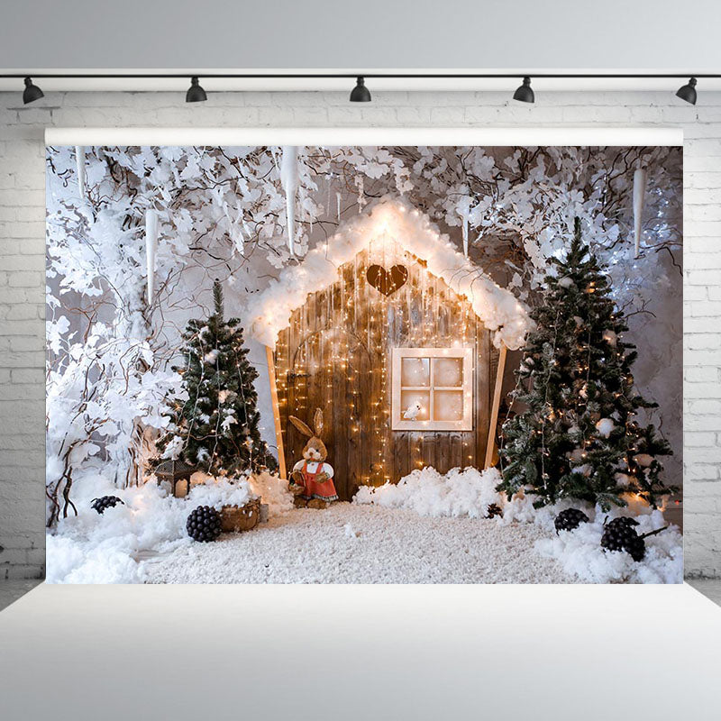 Winter Snow Vinyl Photography Backdrops Christmas Backdrop Newborn