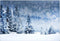 Décors d'hiver forêt Bokeh fond photographique flocon de neige décors photographiques pour Studio Photo