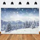 Toile de fond pour photographie d'hiver, scène de neige d'hiver, pour Studio Photo, chaîne de montagnes, accessoires de noël Bokeh