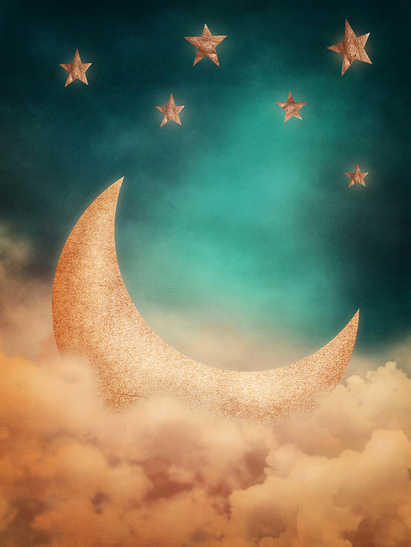 stars backdrop night sky photography backdrops stars and moon photo props 6x8ft twinkle twinkle little star backgrounds for baby shower love you to the moon and back photo booth props moon vinyl backdrops for photographer