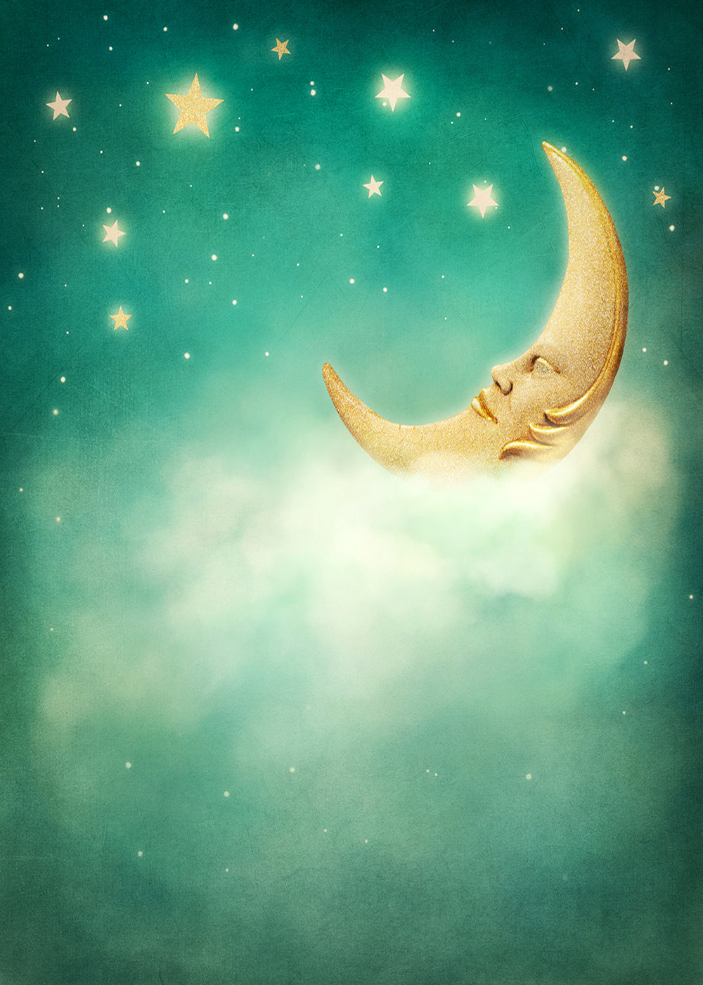 Moon Photography Backdrops Baby Shower Backdrop Twinkle Twinkle Little Star Photography Background For Photo Studio
