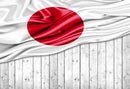 Japanese Flag Photography Backdrops Wood Floor Banner Background Backdrops Props Japan Flags Vinyl photo Backdrop