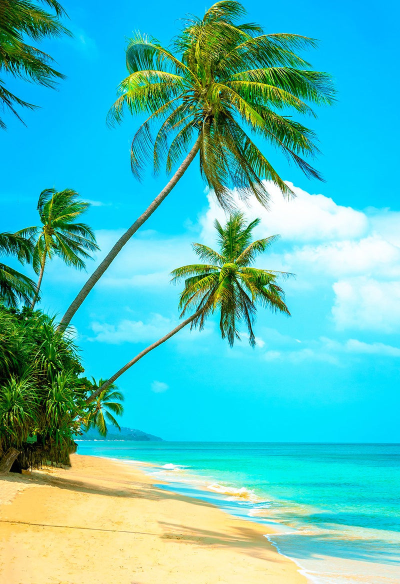 Tropical Hawaii Beach Photography Backdrops Rainforest Photography Background For Photo Studio