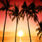 beach sunset photo backdrop beach photography backdrop hawaii luau photo booth props summer holidays background large hawaiian photo booth props