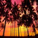 night beach photo backdrop beach theme photo booth backdrop summer beach sunset photo backdrop hawaiian luau photo booth props vinyl beach scene large photography background