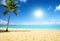 Hawaii Luau Photography Backdrops Tropical Sea Beach Background Backdrops Props Vinyl photo Backdrop