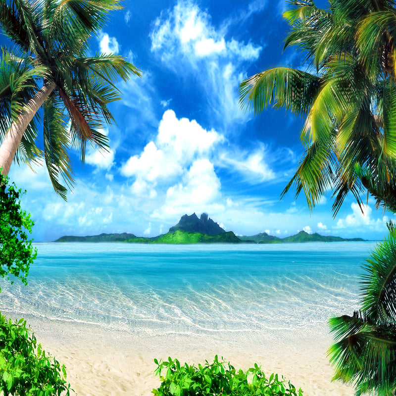 tropical beach photo backdrop 10x10ft large vinyl photo backdrop summer ...