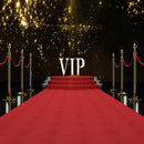 red carpet photo backdrop super star backdrop for picture photography background VIP photo backdrop Hollywood 10ft backdrop red photo booth props