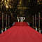 red carpet photo backdrop super star backdrop for picture photography background VIP photo backdrop Hollywood 10ft backdrop red photo booth props