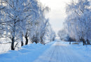 forest snow landscape photo backdrop winter scenery road trees photography background interior decoration photo booth props Merry Xmas backdrops