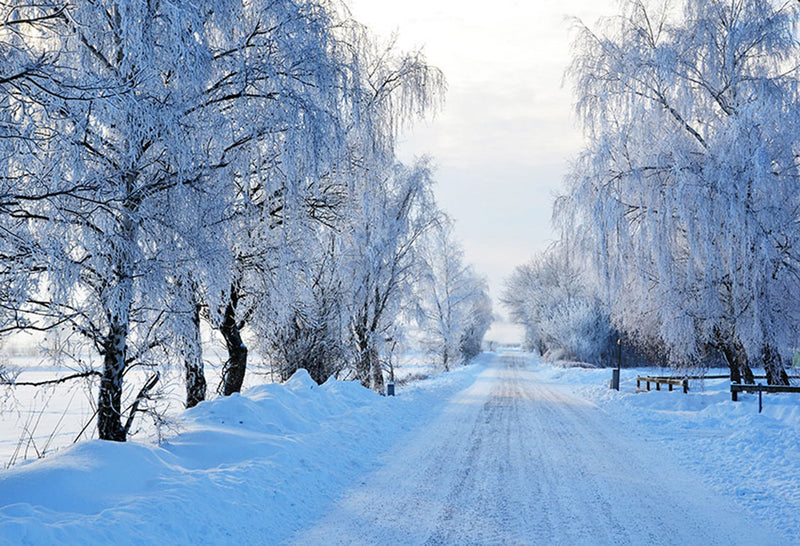 forest snow landscape photo backdrop winter scenery road trees photography background interior decoration photo booth props Merry Xmas backdrops