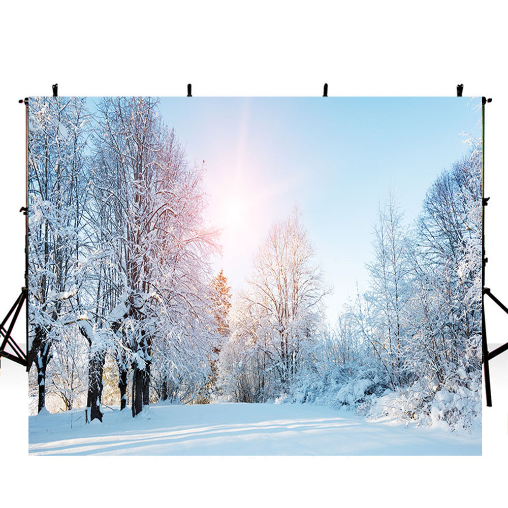 forest snow landscape photo backdrop winter snow road trees photograph ...