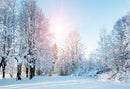 forest snow landscape photo backdrop winter snow road trees photography background interior decoration photo booth props Merry Xmas backdrops